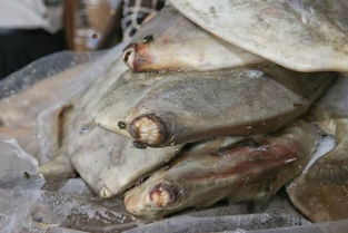 破冰專項(xiàng)行動顯威，黃埔海關(guān)查獲31億元特大走私進(jìn)口凍水產(chǎn)品案